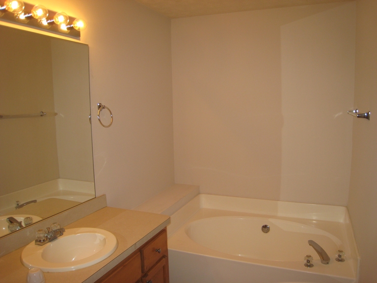 Master Bath - tub